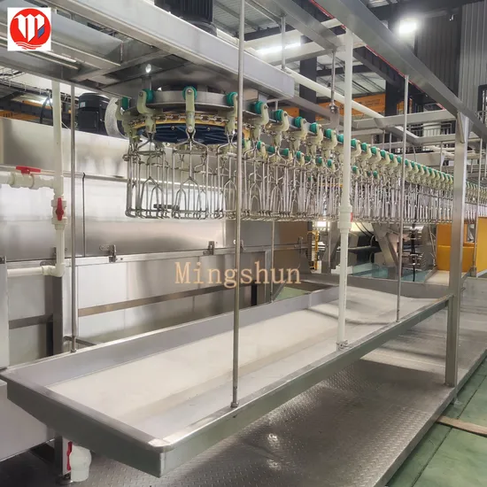 Factory Price Chicken Slaughtering Line Equipment with 1000 Birds Per Hour
