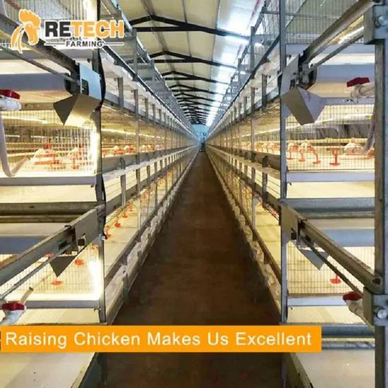 Automatic H Type Broiler Poultry Equipment Chicken Poultry Feeding Equipment