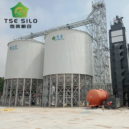 China Factory Direct Sale High Quality Customized Capacity Wheat Corn Paddy Rice Storage Galvanized Corrugated Steel Hopper Bottom Grain Silo
