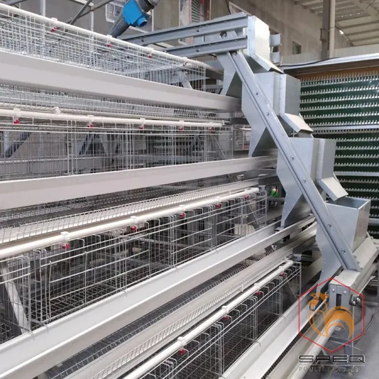 Hot Sale High Quality Chicken Automatic Poultry Farm Equipment a Type Layer Cage for Sale