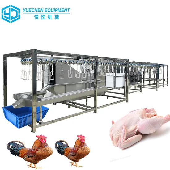 Small Scale 100-600bph Poultry Processing/ Compact Mobile Slaughterhouse Equipment Chicken Slaughtering Equipment Price