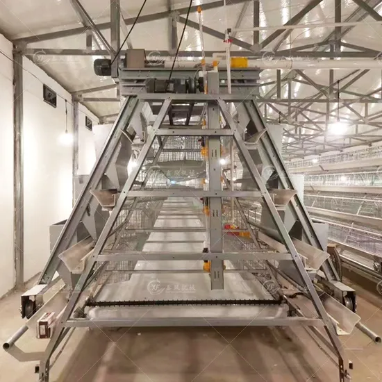 Automatic Animal Cage Egg Grade System Chicken Layer Cage Poultry Farm Equipment for 10000 Chickens