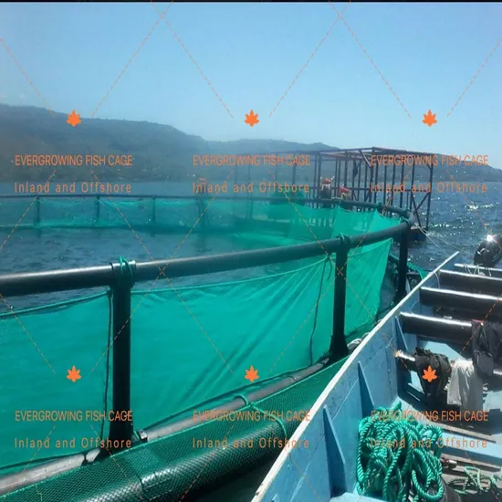 HDPE Floating Fish Farming Aquaculture Cage