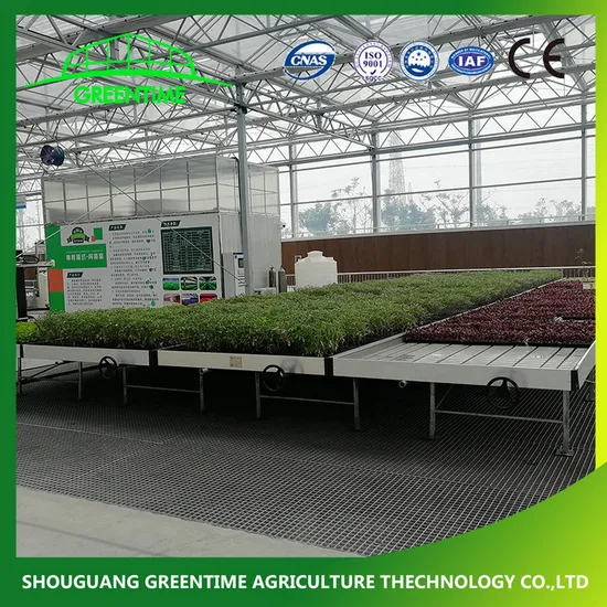 4X8′ Greenhouse Nursery Benches/Rolling Bench Table/Seedling Bed/Tray Seedbed