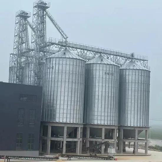 Silo Manufacturers 1000 Ton Wheat Grain Storage Silo for Pig Feed Farm