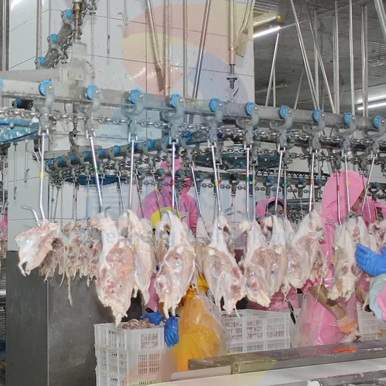 Poultry Abattoir Equipment Turnkey Project Poultry Slaughterhouse Equipment Chicken Slaughter House Poultry Processing Equipment