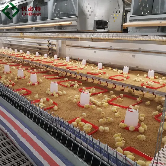 Automatic Chicken Chain Feeding Pan Feeder Poultry Farm Equipment for Chicken Breeder