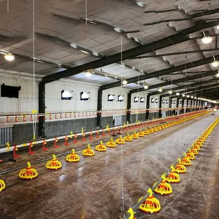 Broiler Farming Equipment Automatic Floor Raising System for Poultry House