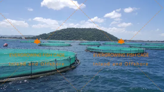 HDPE Tilapia Farming Grow out Fish Net Cage