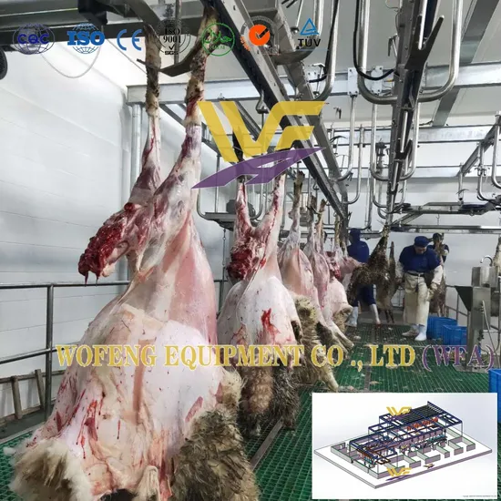 Slaughterhouse Project 100 -200 Sheep Per Day Slaughtering Line Equipment for Sale