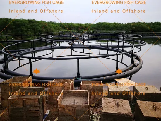 HDPE Circular Sea Floating Fish Farming Aquaculture Cage