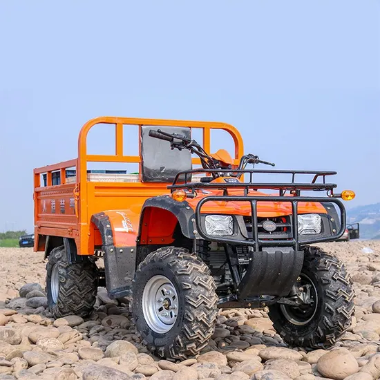 New Tech Good Quality and Reasonable Price 11.5kw 250cc Agricultural ATV&UTV with Trailer