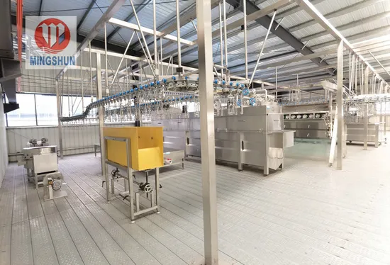 Hot Sale Automatic 500-2000 Birds Per Hour Complete Chicken Duck Poultry Slaughterhouse Equipment for Poultry Slaughter Process