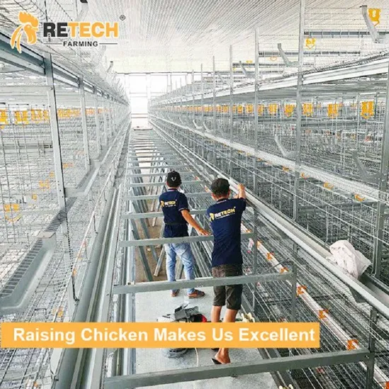 Good Price Automatic Poultry Farm Equipment Layer Laying Hens Chicken Battery Cage for Sale