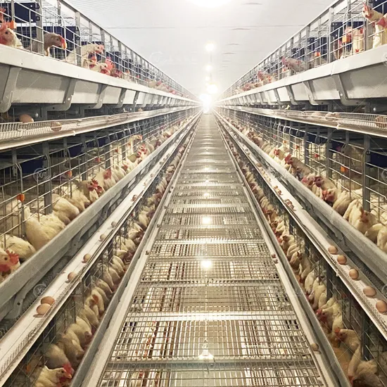 Remote Control Poultry Farming Equipment H Type Egg Laying Chicken Cage Laying Hens Battery Cage