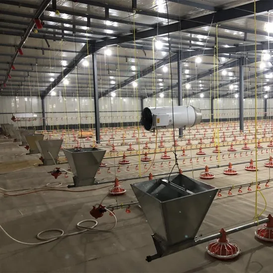 Broiler Farming Floor Raising System with Automatic Feeding Pans & Automatic Nipple Drinker