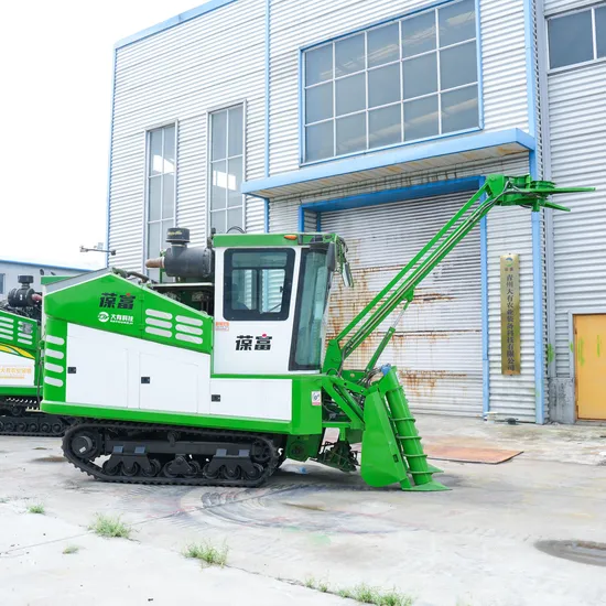 Hydraulic Drive Diesel Drive Whole Rod Integrated Agricultural Sugarcane Harvester Machine