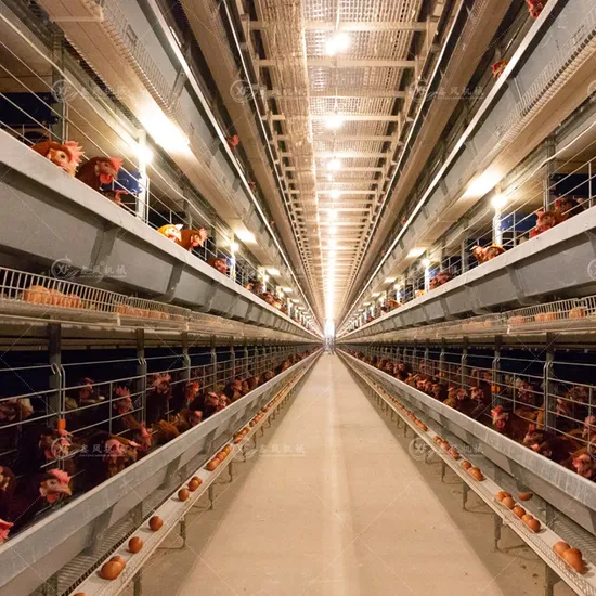 Poultry Farming Equipment Agricultural Machinery Automatic Egg Collection Laying Hens Battery Cage Chicken Cage