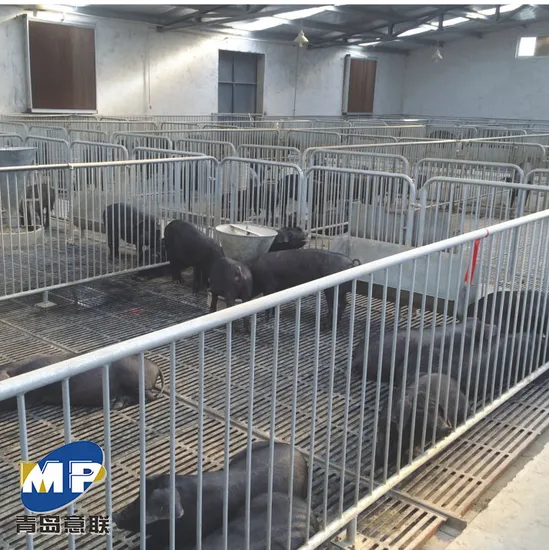 Durable Pig Equipment for Efficient Boar Housing and Management Pig Equipment-Boar Penning