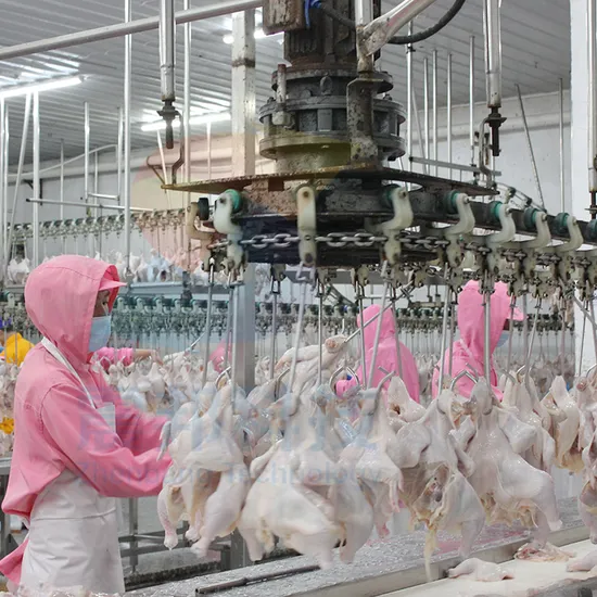 500bph-13000bph Halal Poultry Chicken Slaughtering Machinery Killing Plucker Depilator Feet Peeling Slaughter Machine