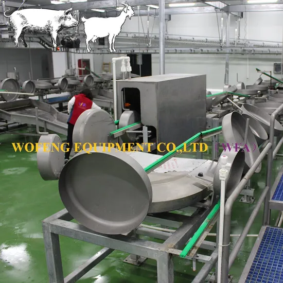 Fully Automatic Slaughter Equipment Floor Type Red Offal Synchronous Quarantine Conveyor for Sheep Pig Abattoir