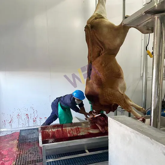 Automatic Cattle Slaughtering Equipment Meat Conveying Track Abattoir Machinery Processing for Cow