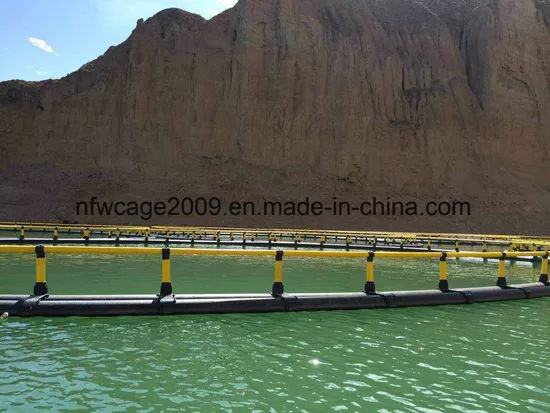 Fish Farm Cage Culture Fishing Equipment Fish Farming Equipment