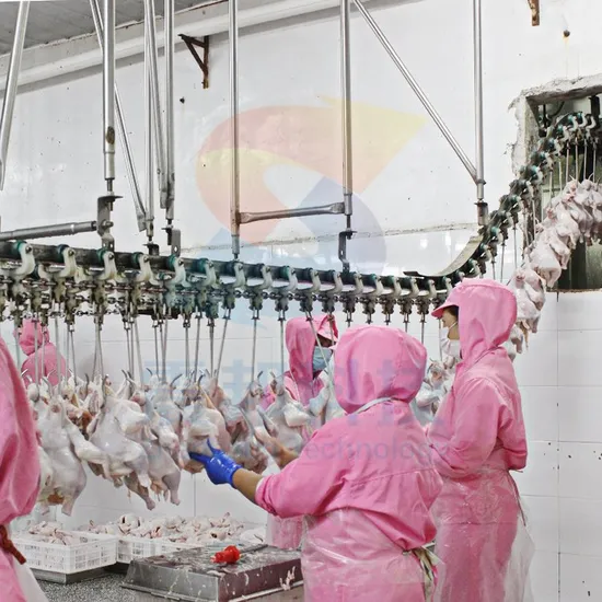 100bph to 13000bph Abattoir Meat Processing Machine Slaughtering Chicken Quail Rabbit Animal Poultry Killing Slaughter Machine