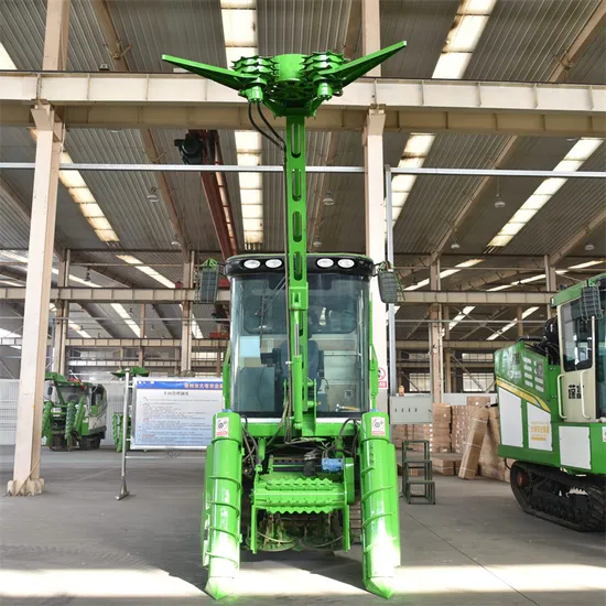 Indian Farm with Professional Precision Cutting 88kw Diesel Driven Cross-Section Sugarcane Harvester