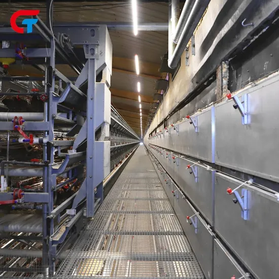 Chicken Multi Layer Automatic Manure Cleaning Feeding Poultry Farm Cage