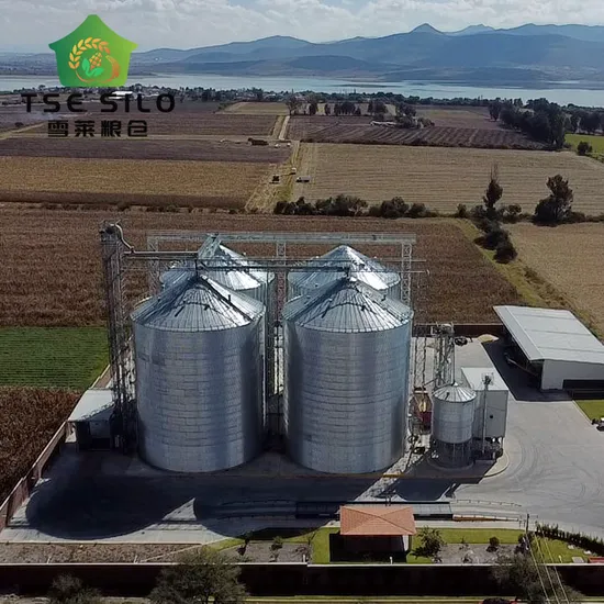Shelley Factory Direct Sale 2000/3000/5000/8000 Tons Farm Grain Storage Steel Silo