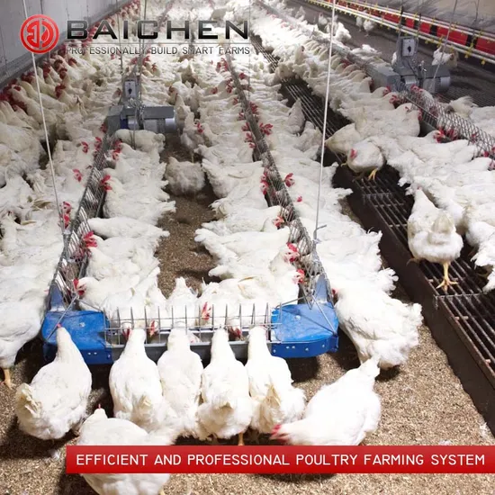 2023 Chicken Automatic Poultry Feeder Line Breeder Chain Feeding Equipment & Layer Feeding