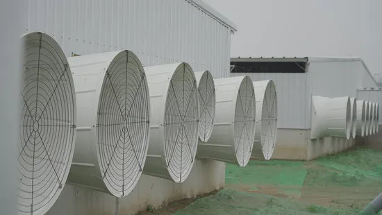 Advanced Ventilation System for Optimal Pig Farming Efficiency