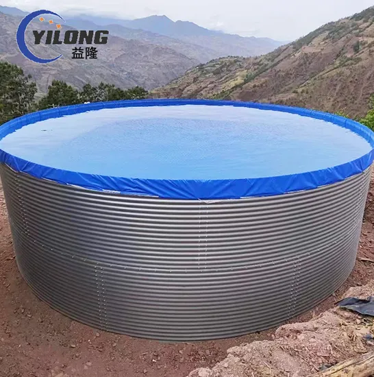Salmon Fish Farms Ozone Generator Biofloc Fish Farming Equipment