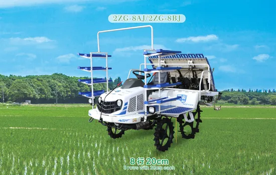 China factory supplier Automatic operated Riding type Practical tool for farm 820 high-speed Seed production transplanter 2ZG-8AJ/2ZG-8BJ (Diesel)