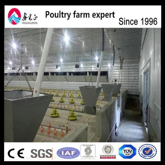 Poultry Farm Chicken Cage Manufacturer Broiler Battery Cage