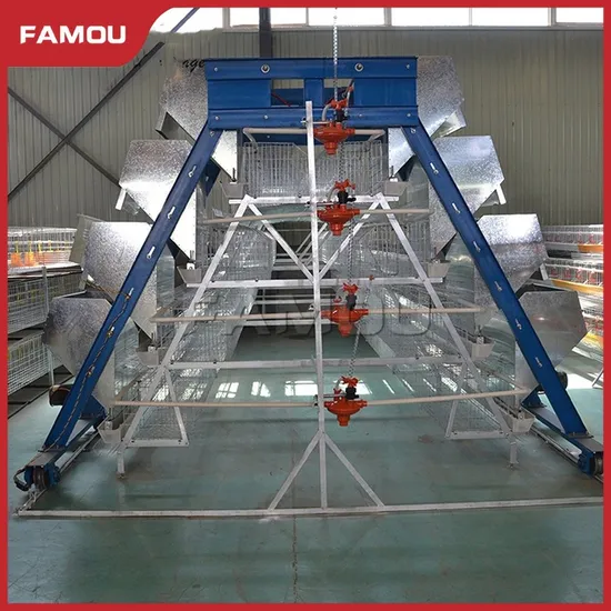 Famou Chicken Farm Equipment Customizable Ladder Type Farm Automatic Feeding System