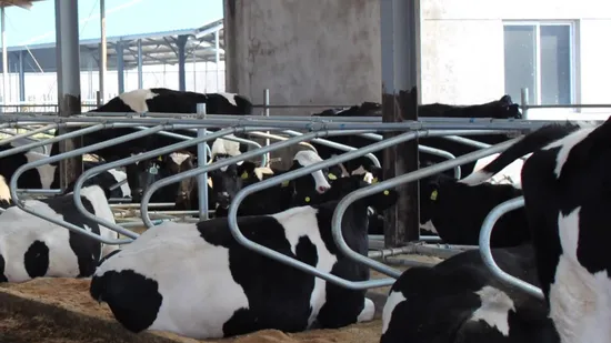 Livestock Machinery Agricultural Machinery Cattle Cubicle