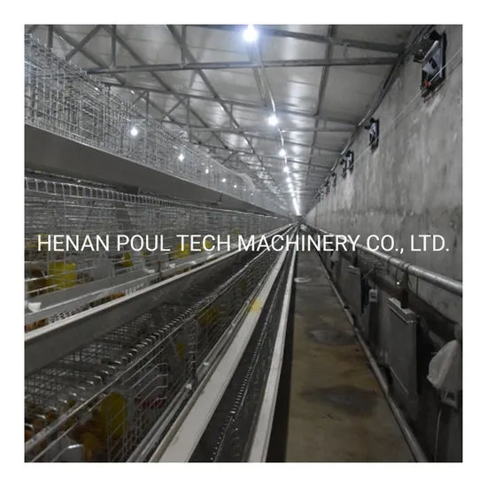 Newly Designed Poultry Equipment Broiler Galvanized Manue Facture of Chick Brooding Cage Battery Cages From China