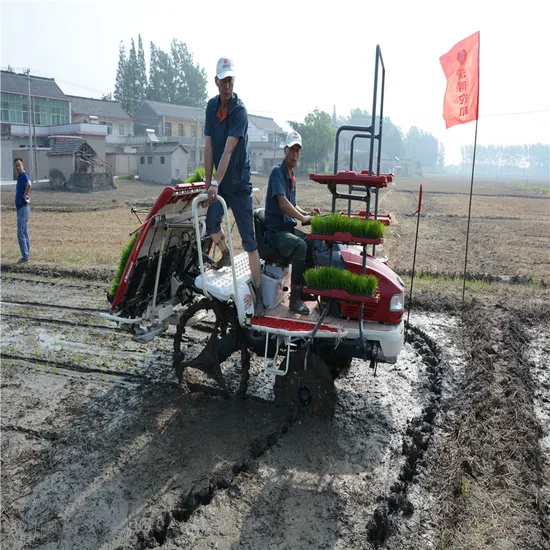 High Speed Disesel Wdfm Autonomous Rice Transplanter Machine Manufacture