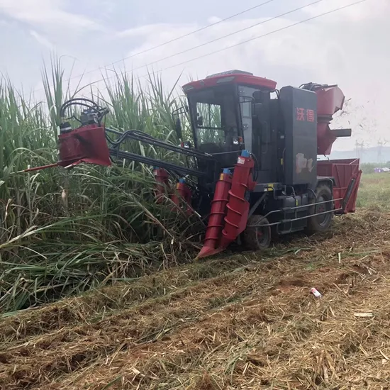 Top Technology Self-Proprlled Combine Whole Stalk Sugar Cane Harvester for Corn