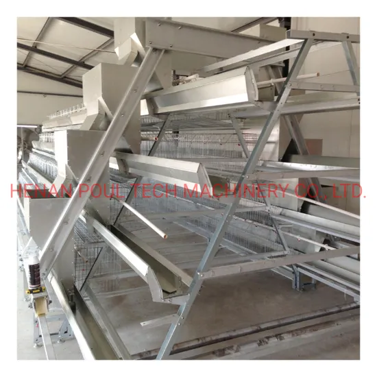 a Frame Automatic Hot Galvanized Chicken Cage Equipment