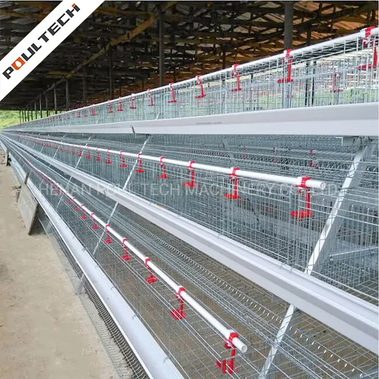 Poul Tech a Frame 4 Tiers Poultry Feeding Equipment Chicken Wire Dimension for 1000 Chicken Layer Cage Kandang Ayam Petelur