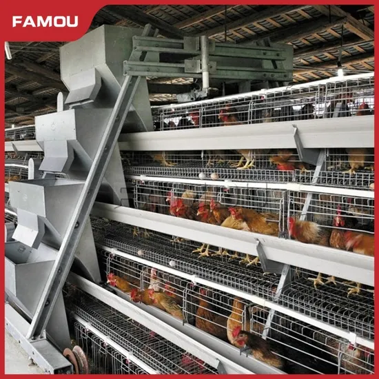 Famous Poultry Feeding Equipment Multiple Protections Ladder Type Automatic Poultry Feeding System