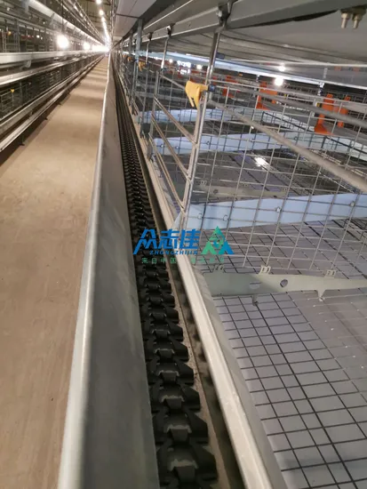 Qingdao China Prefabricated Building Steel Structure Warehouse Broiler Layer Prefab Chicken Cage System