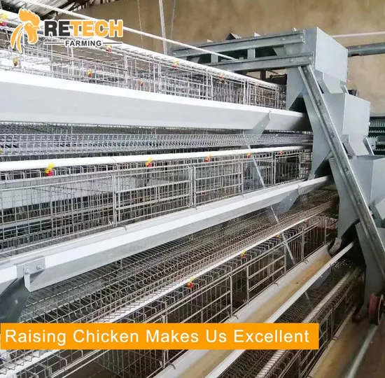 Automatic A Type Battery Layer Chicken Cages in Indonesia