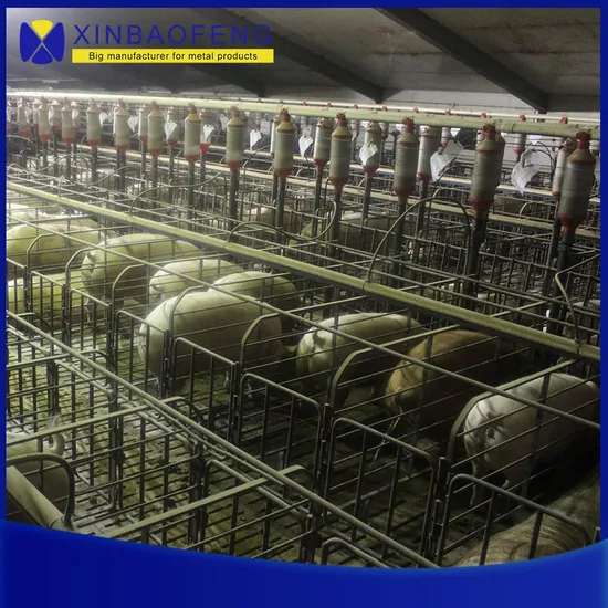 Pig Farm Equipment Pig Farrowing Crate Sow Crate Gestation Stall