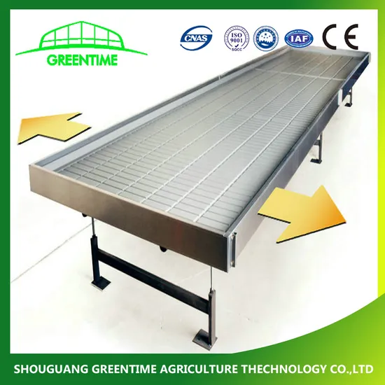 Cultivating Using Greenhouse Hydroponic Grow ABS Flood Trays Rolling Table Factory