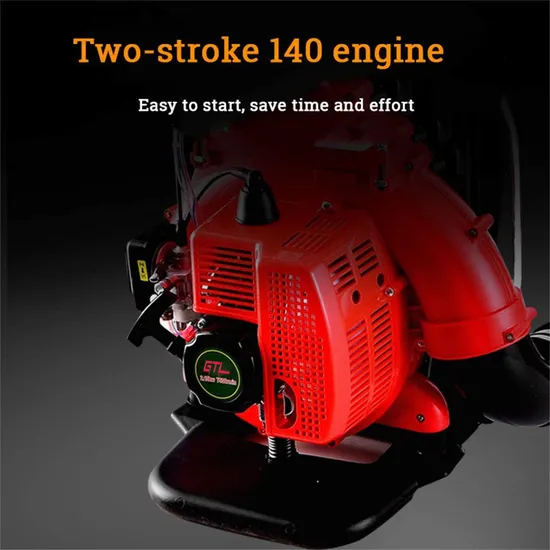 Gasoline Engine 5.5HP Backpack Fogger Machine Agricultural Mist Duster for Disinfectant and Insect Pest Control (3WF-12)