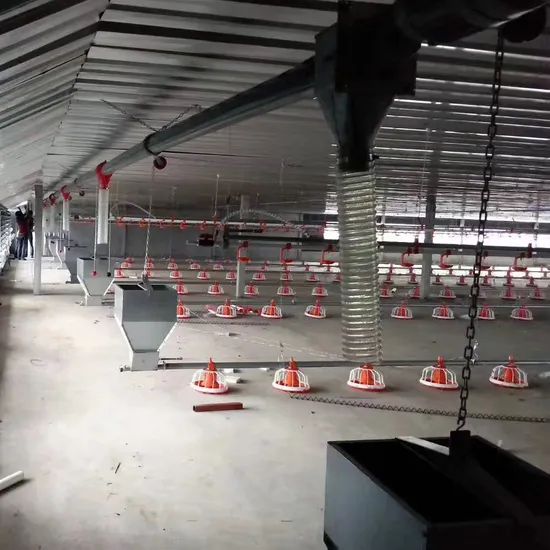 Professional Chicken Broiler Breeder Breeding Poultry Control Shed Equipment